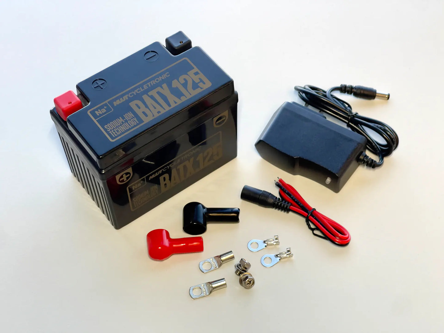 BATX.125  - Sodium-ion Battery Technology (Na+)