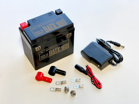 BATX.165  - Sodium-ion Battery Technology (Na+)