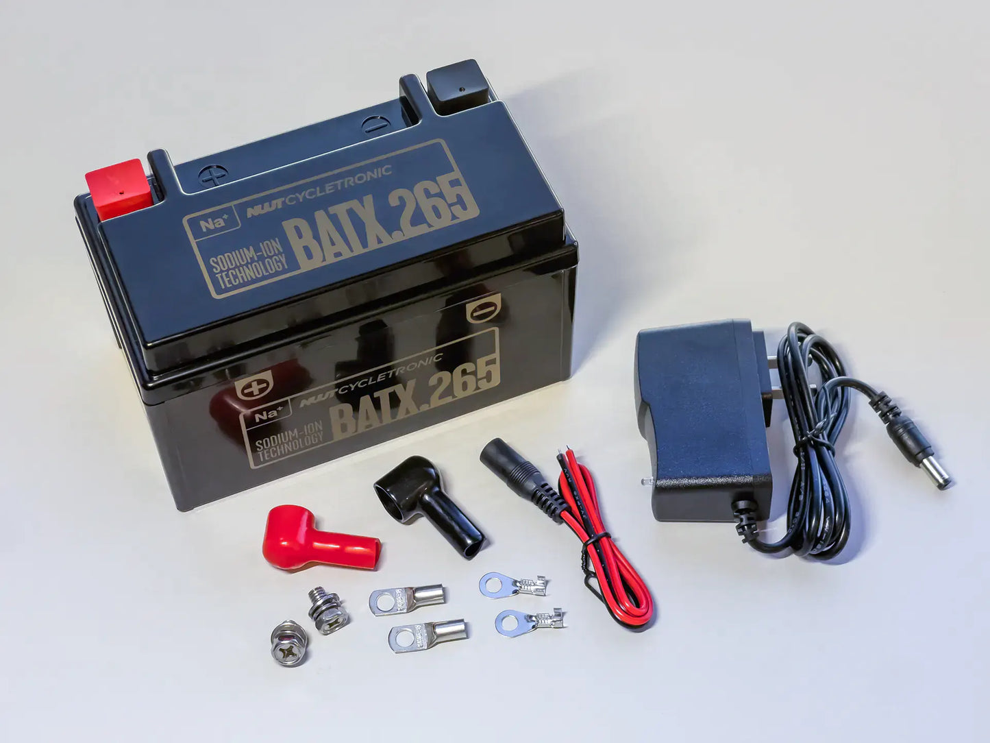 BATX.265  - Sodium-ion Battery Technology (Na+)