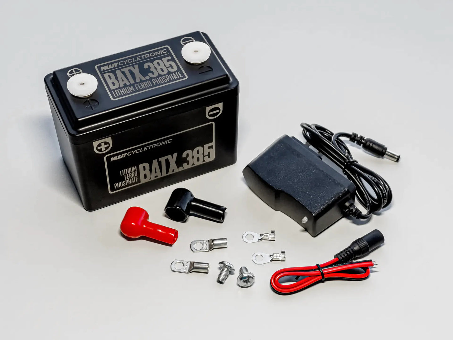 BATX.385 - Lithium Ferro Phosphate Battery (LiFePO4)