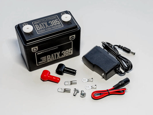 BATX.385 - Lithium Ferro Phosphate Battery (LiFePO4)